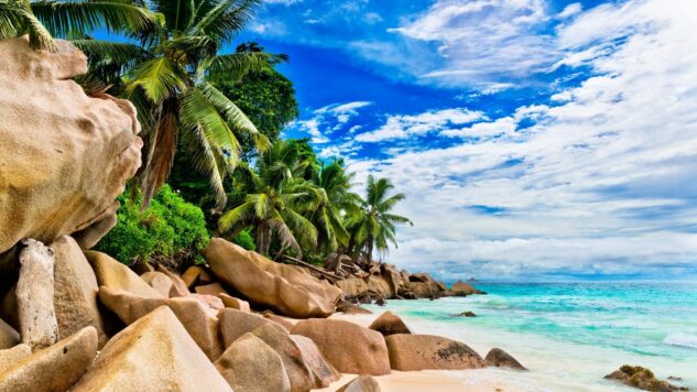 Beach with rocks, palm tree, and blue sky