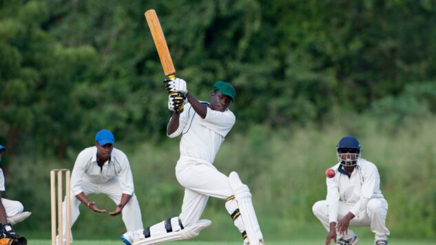 People playing cricket