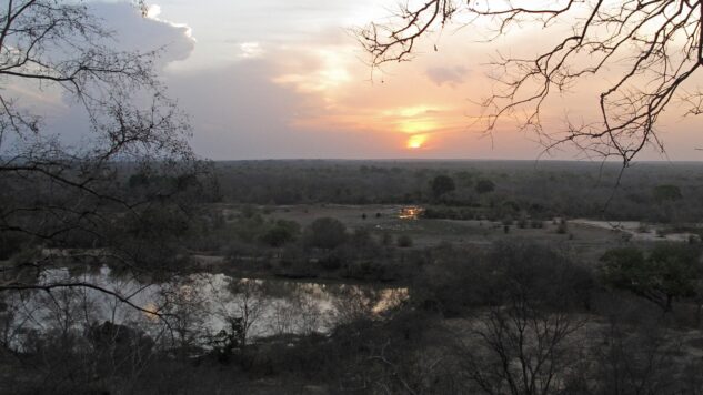 Mole National Park