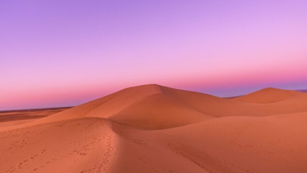 Sand dune in the Sahara Desert