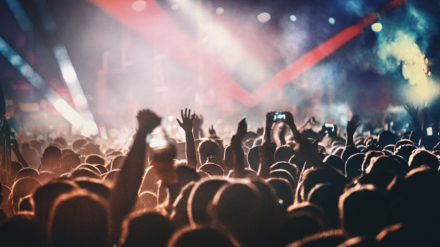 Image of people at a concert