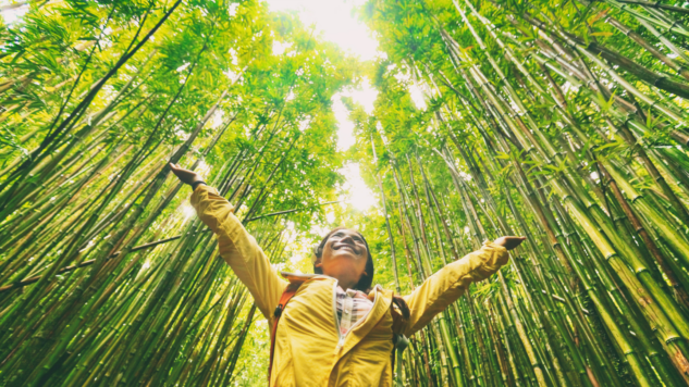 Image of woman in woods with hands in air