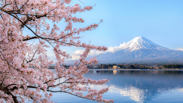 Image of Mount Fuji at Lake kawaguchiko with cherry blossom in Yamanashi near Tokyo, Japan.